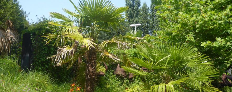 Jardin des Geants