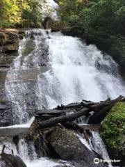 Dukes Creek Falls Trail