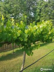 FishTales Winery & Vineyard
