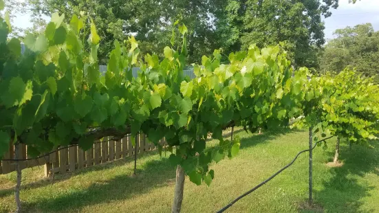FishTales Winery & Vineyard
