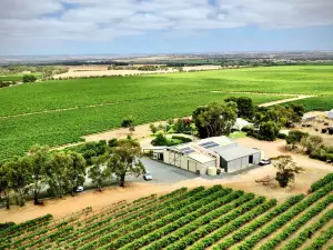 Angas Plains Wines