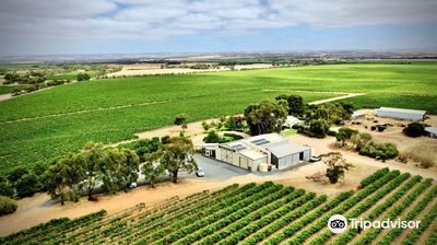 Angas Plains Wines