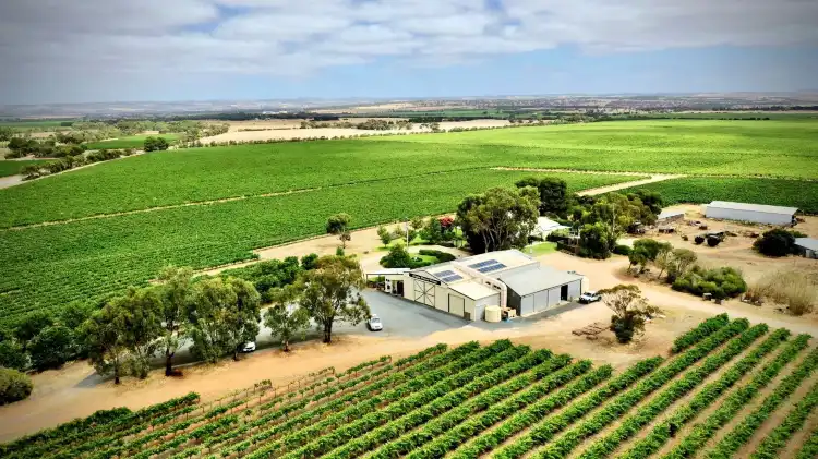 فنادق في Langhorne Creek