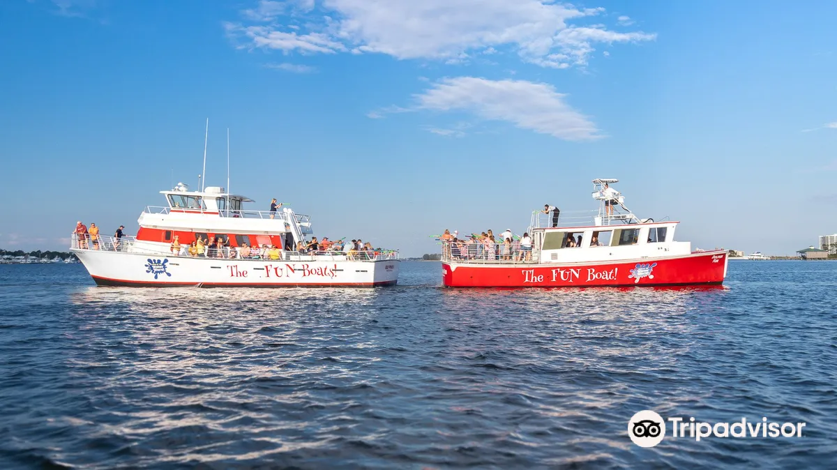 The Fun Boat Dolphin Cruises