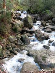 Eurobin Lower Falls