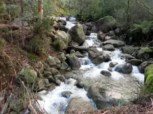 Eurobin Lower Falls