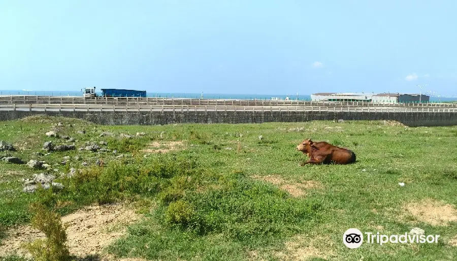 Linkou Shui Niu Keng