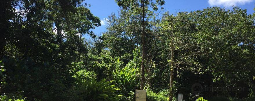 Peperpot Nature Park