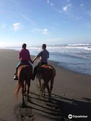 Crescent Trail Rides