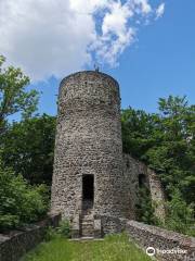 Burg Lichtenegg