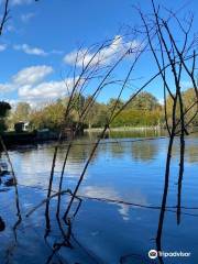 Les Hortillonnages : visites guidées en barque à cornet traditionnelle