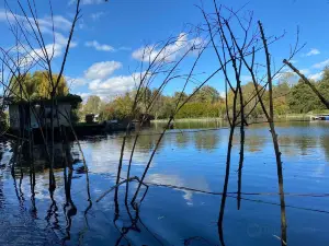 Les Hortillonnages : visites guidées en barque à cornet traditionnelle