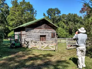 Rowan Oak