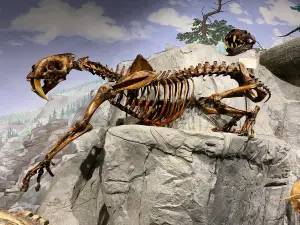 Mountain America Museum of Ancient Life at Thanksgiving Point