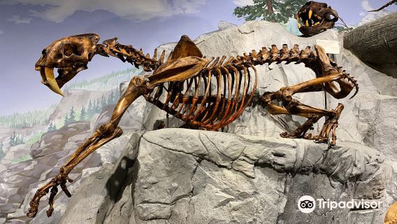 Mountain America Museum of Ancient Life at Thanksgiving Point