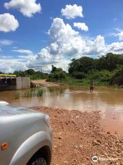 PANTANAL JAGUAR SAFARIS