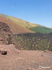 Craters Silvestri of Mount Etna