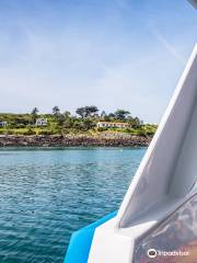 Vedettes des Îles Chausey