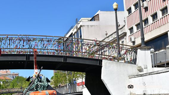 Ponte Lacos de Amizade