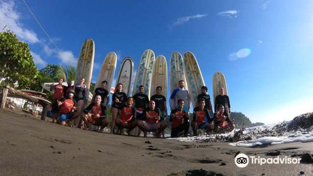 Tortuga surf school.