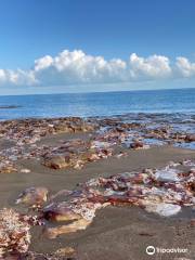 Nightcliff Jetty