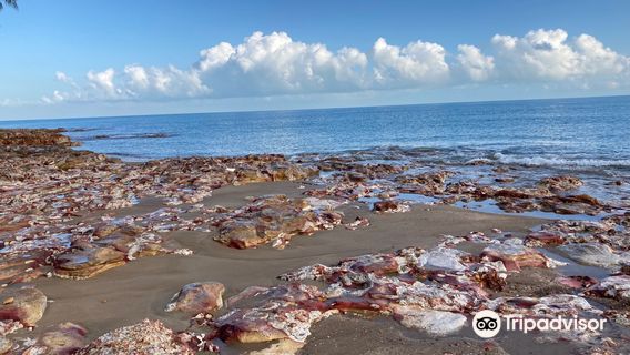 Nightcliff Jetty