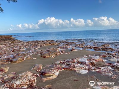 Nightcliff Jetty