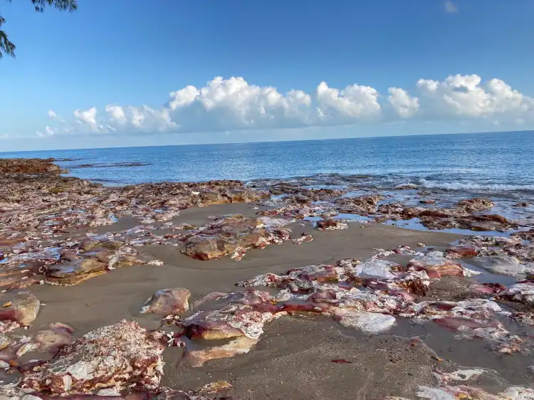 فنادق في Nightcliff