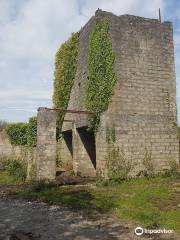 Goss Moor Trail