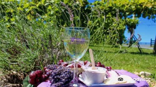White Oak Lavender Farm & The Purple WOLF Vineyard