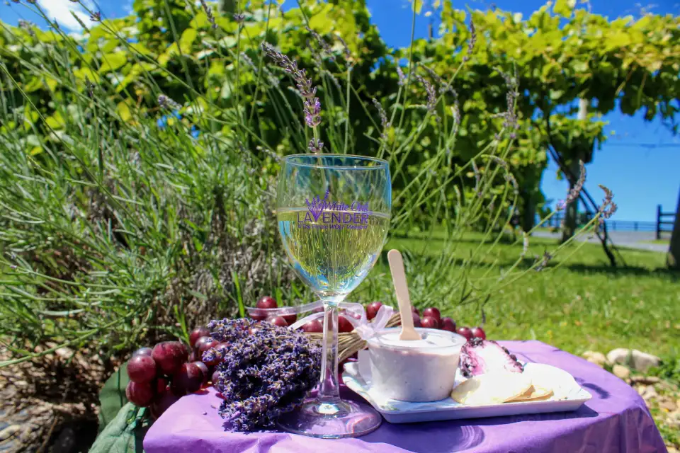 1_White Oak Lavender Farm
