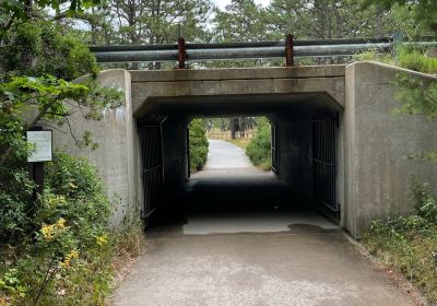 Ferry Beach State Park