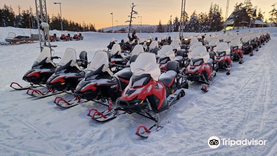 Lapland Safaris North / Lapland Safaris Saariselkä