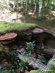 Centro de Interpretación del Parque Natural Saja Besaya - Naturea Cantabria