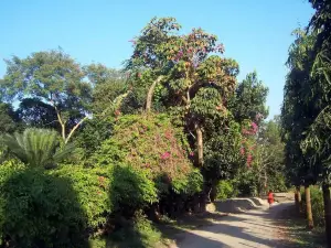 National Botanical Garden, Mirpur, Dhaka