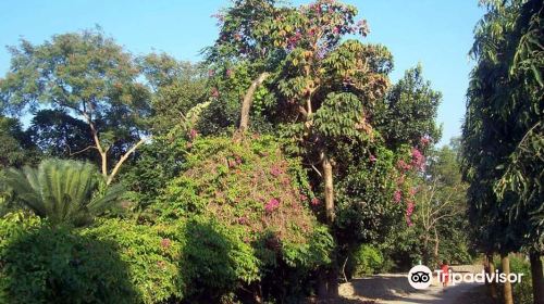 National Botanical Garden, Mirpur, Dhaka