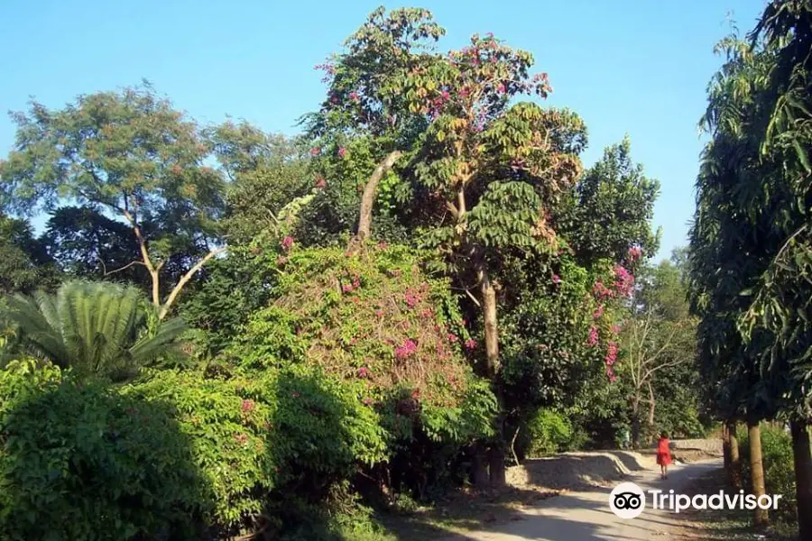 National Botanical Garden, Mirpur, Dhaka