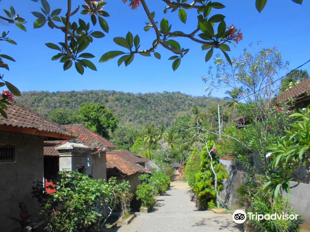 1_Tenganan Ancient Village