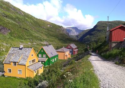 Myrdal Station