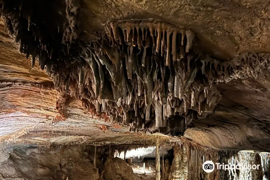 Lehman Caves