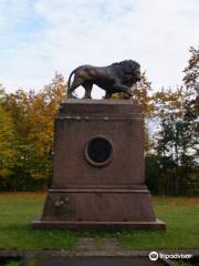 Bronze Lion