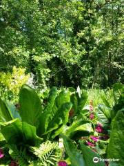 Fairhaven Woodland and Water Garden