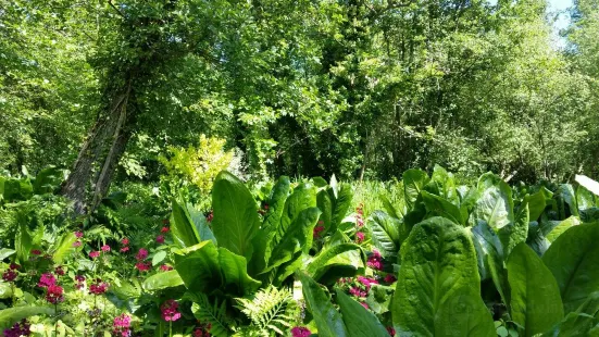 Fairhaven Woodland and Water Garden