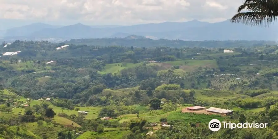 Finca El Mirador Filandia