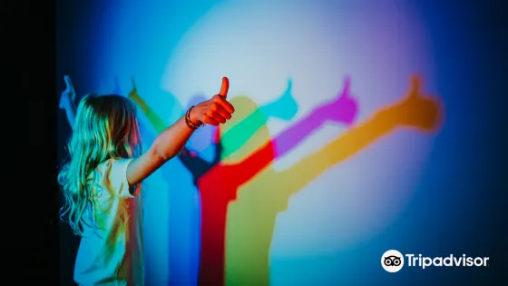 Museum of Illusions - Charlotte