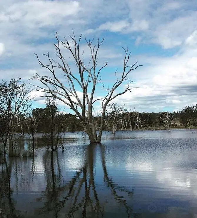 Throsby