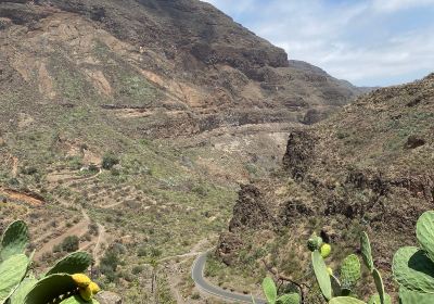 Barranco de Guayadeque