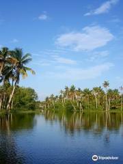 Poovar Island Resort