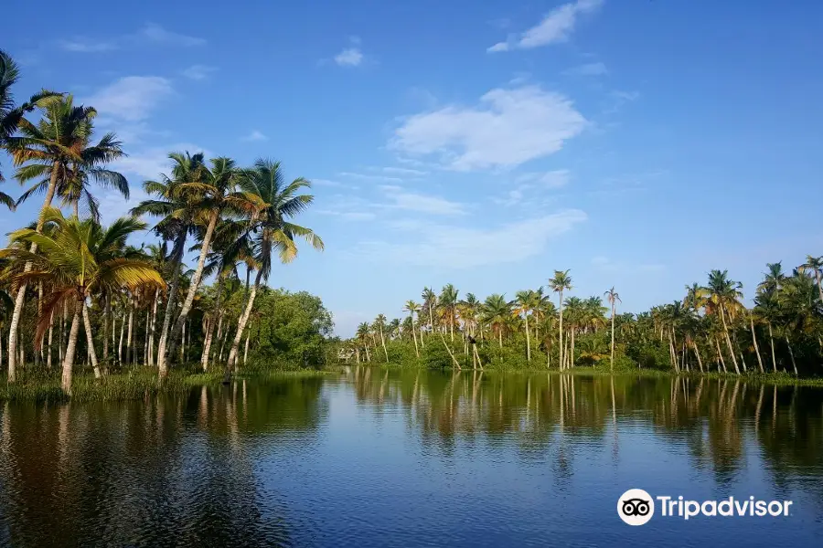 Poovar Island Resort