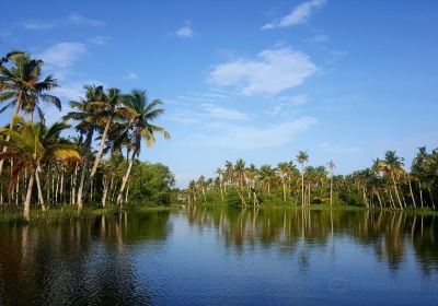Kulathoor
